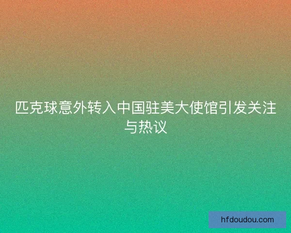 匹克球意外转入中国驻美大使馆引发关注与热议